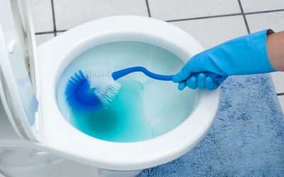 The Experts Share their Best Tips for Cleaning Toilet Bowl Stains