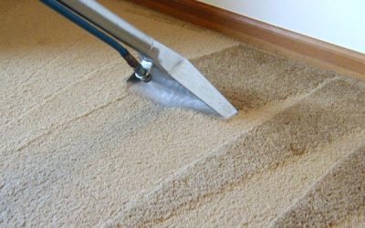 End of Lease Carpet Cleaning – Steam Cleaning or Dry Cleaning