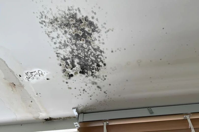 Mould on ceilings