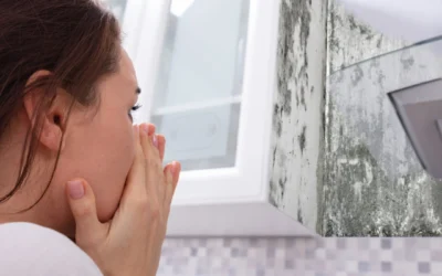 How to Remove Musty Smell from Your Home This Winter