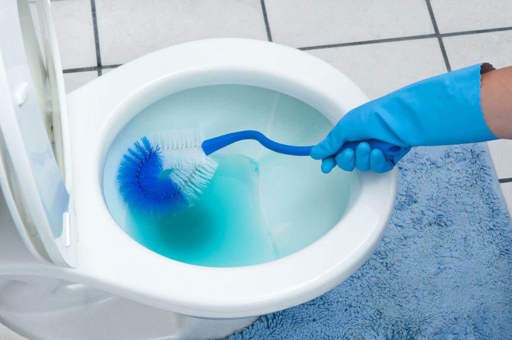 Cleaning Tips Toilet